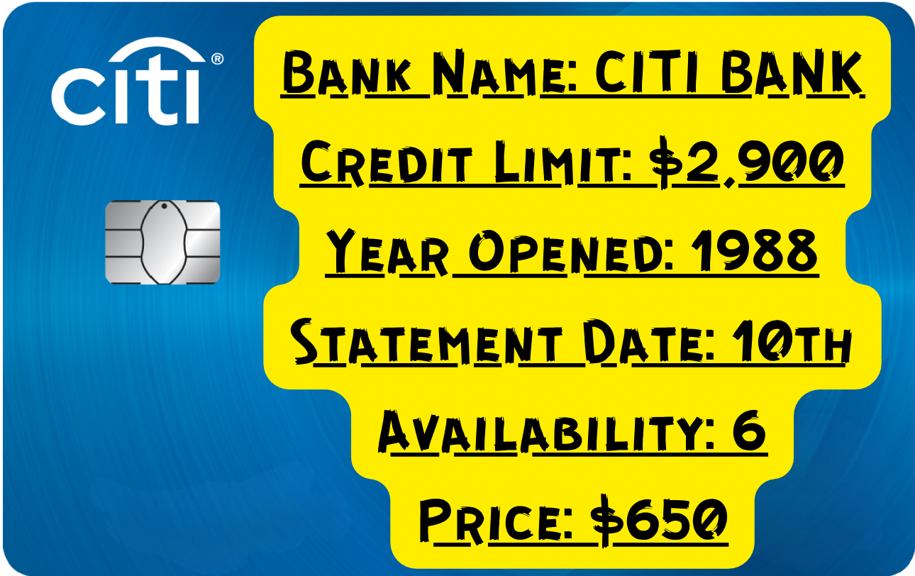 Authorized User Credit Boost – Citi Bank (1988, $2,900 Limit, 6-Month Reporting)